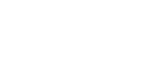 X Hec X Hec